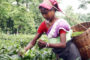 India’s Assam Citizenship Scandal Could Have Wide Reaching Geopolitical Implications